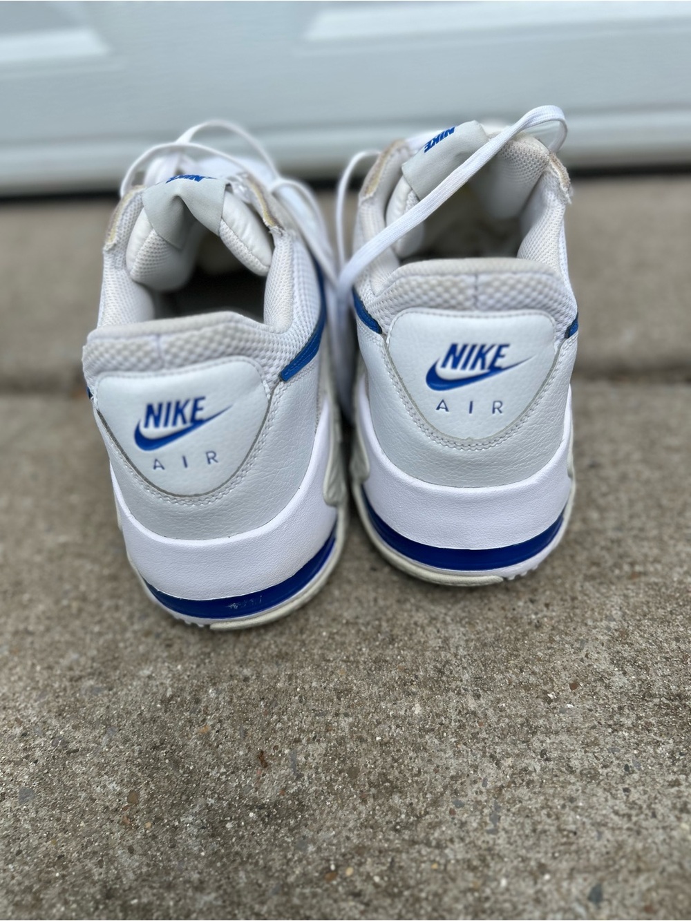 Nike Air Max White and Blue Air Low-Top Sneakers